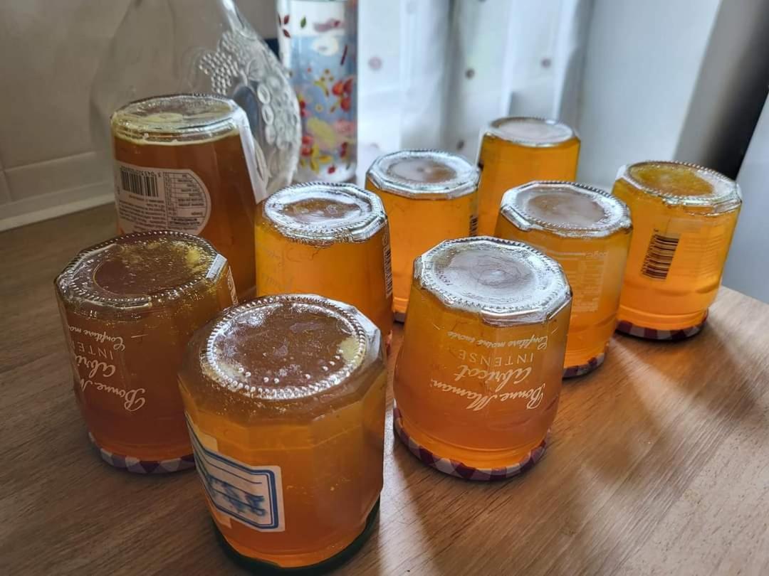 Chambres D Hotes L'Agape Saint-Martial-sur-Isop Ngoại thất bức ảnh